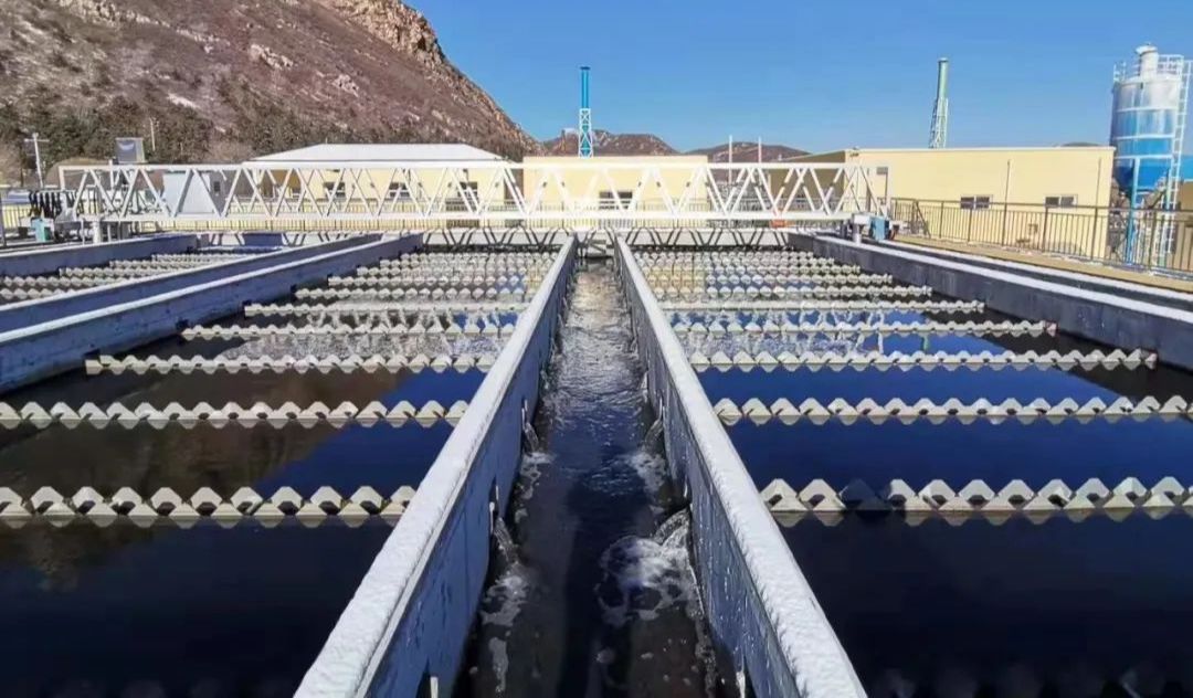 微信圖片_20200303104159.jpg 微信圖片_20200303104159.jpg